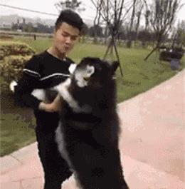 闲鱼app拍卖入口新版,闲鱼app交易规则