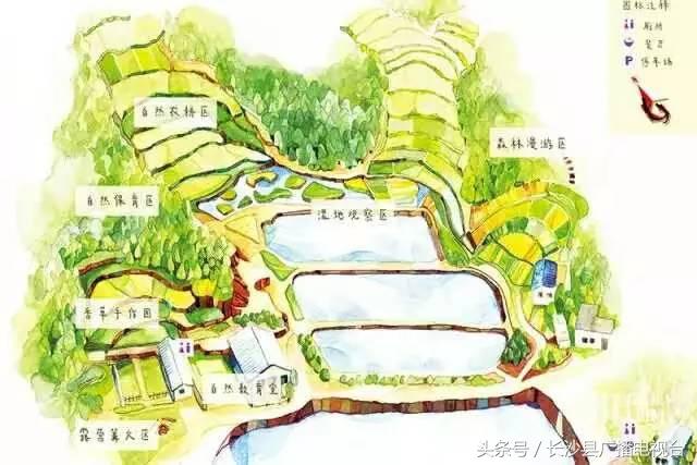 神奇的学校有哪些,神奇的学校完整版国语版