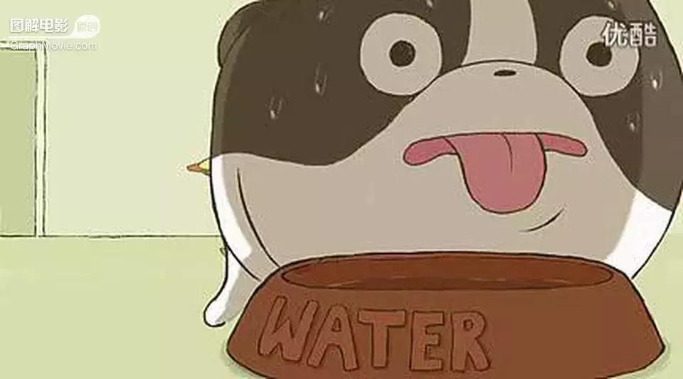 1分钟看完煎蛋饼养只狗狗来做饭狗版の田螺姑娘