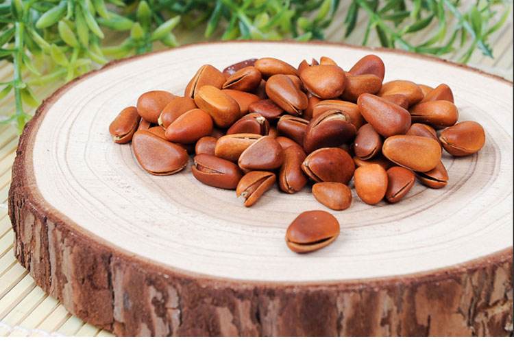 长白山松子是干果吗,长白山野生极品松子