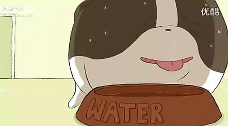 1分钟看完煎蛋饼养只狗狗来做饭狗版の田螺姑娘