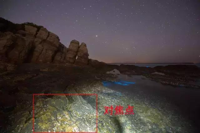 国内看荧光海最好看的地方,世界上最梦幻的荧光海