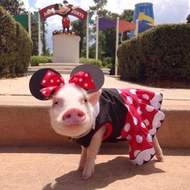 学姐学长的朋友圈,飞过一整个世界