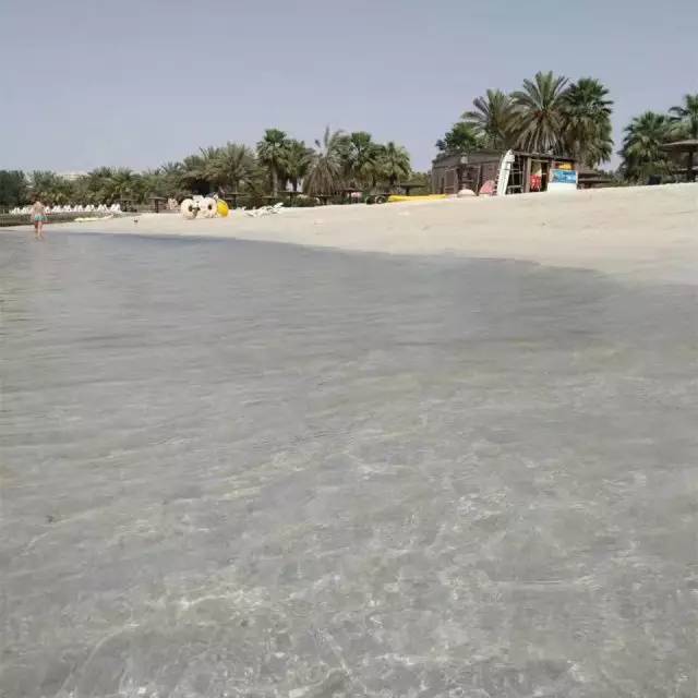 学姐学长的朋友圈,飞过一整个世界