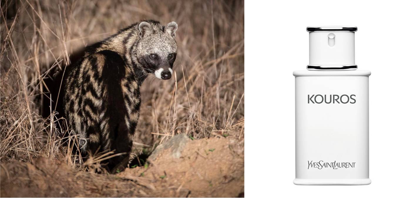 法国顶级奢侈品香水 (法国最香香水)