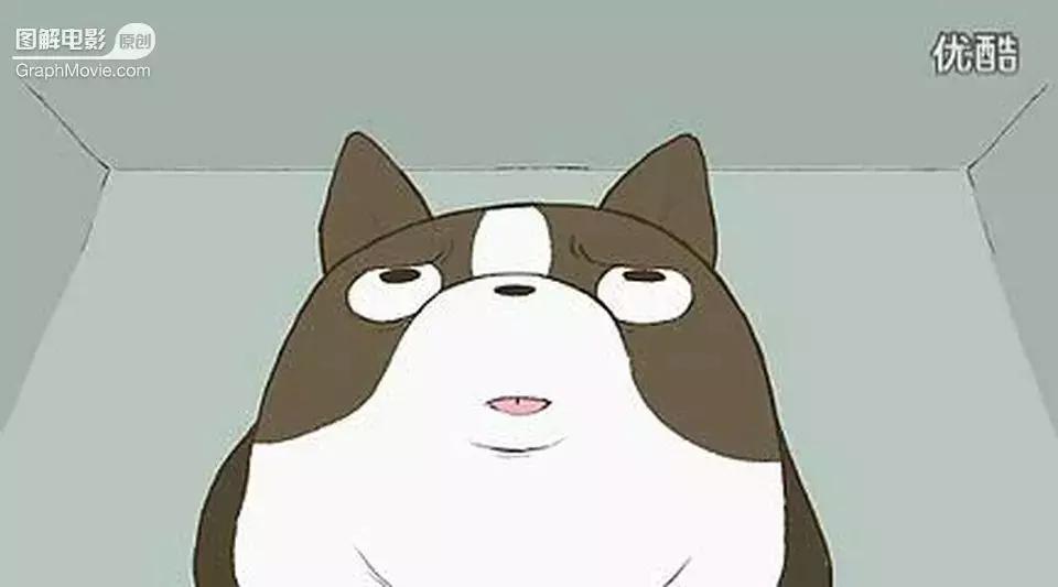 1分钟看完煎蛋饼养只狗狗来做饭狗版の田螺姑娘