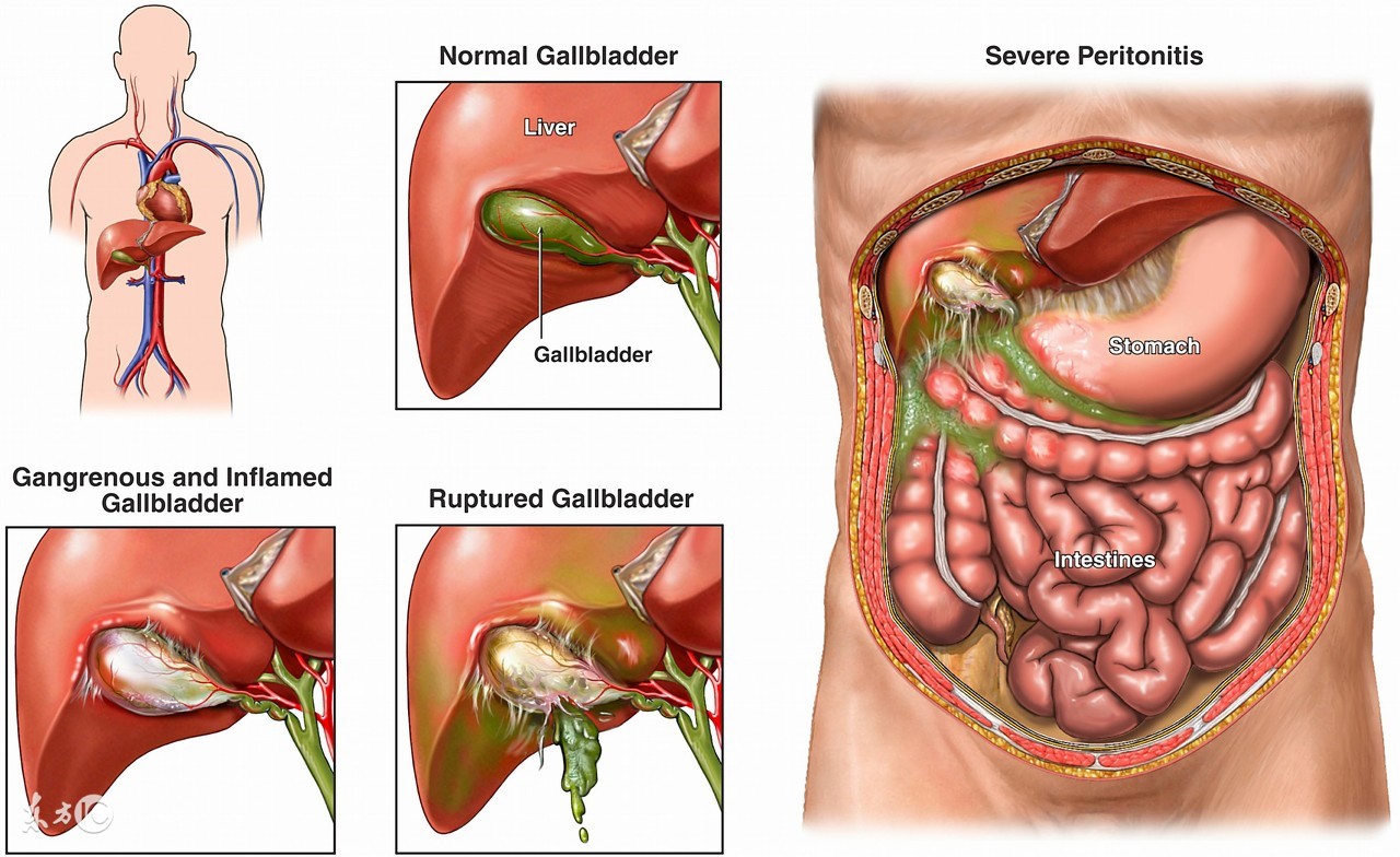 超级有氧减肥法,四十分钟有氧减肥健身