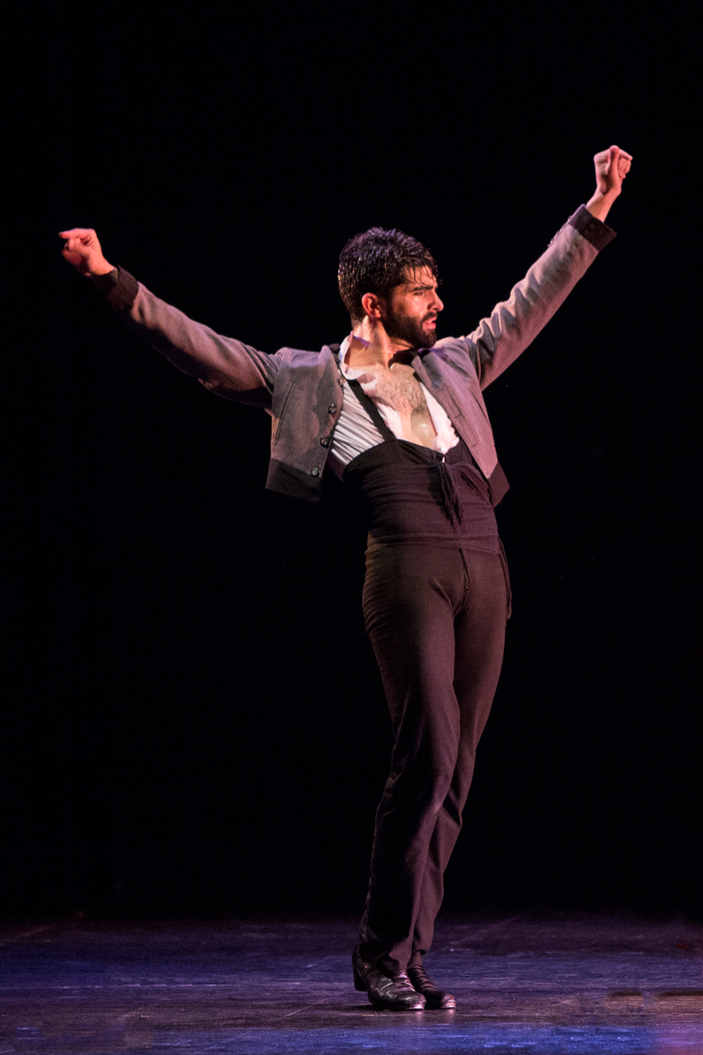 弗拉门戈基本风格,弗拉门戈教程