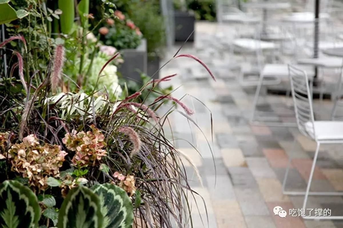 轻奢小众高级花店,有文艺气息的花店