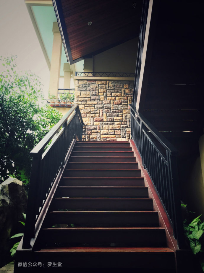 热带雨林里的美食,来这里吃的全是特色!