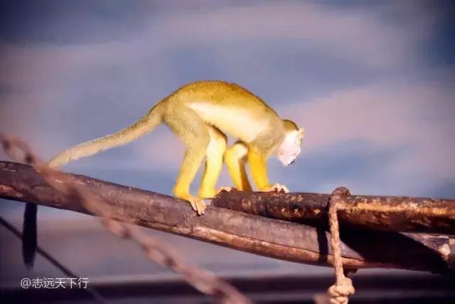 小女孩的三亚游,三亚合适小朋友玩的景区