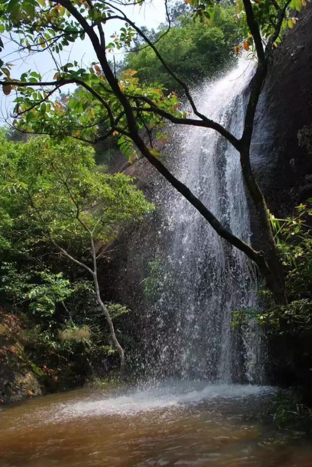 澶╀笅璞℃妫嬪瓙,澶╀笅璞℃妫嬭氨澶у叏