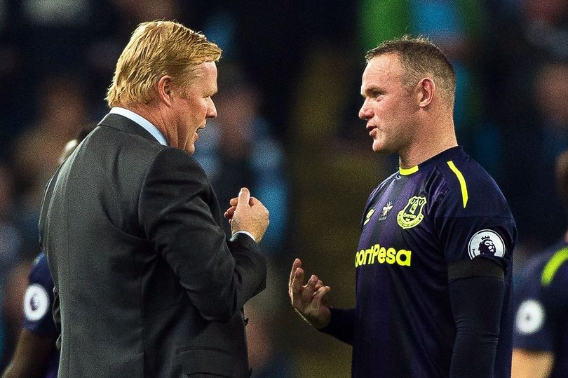 出走半生归来仍是少年歌词,出走半生归来仍是少年英文歌曲