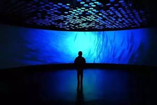 上海非沪籍有哪些证,上海户籍政策