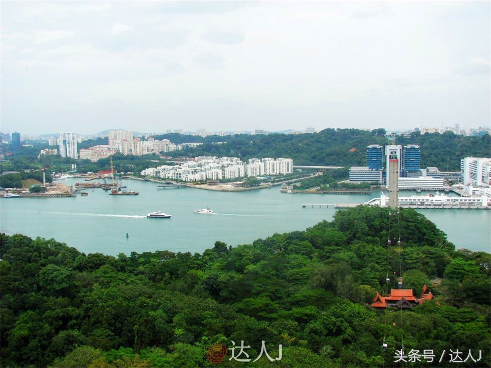 达人J:新马声色任逍遥