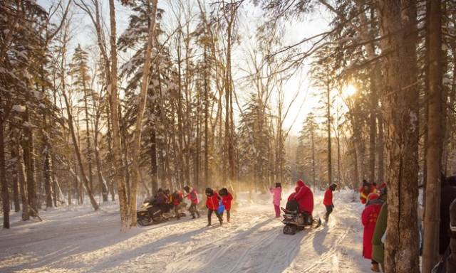 初冬掠影,哈尔滨的冬日魅力