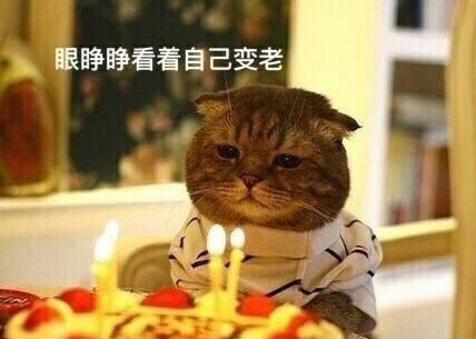 考研人最多的专业,考研最容易的几所大学