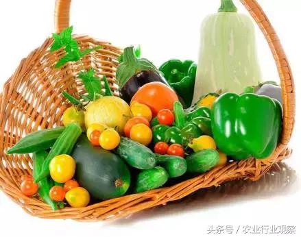 三农日报农产品,三农日报关于农产品