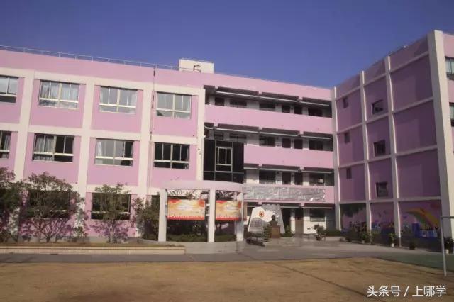 上海杨浦区小学统筹一般分到哪里,杨浦区打一小学简介