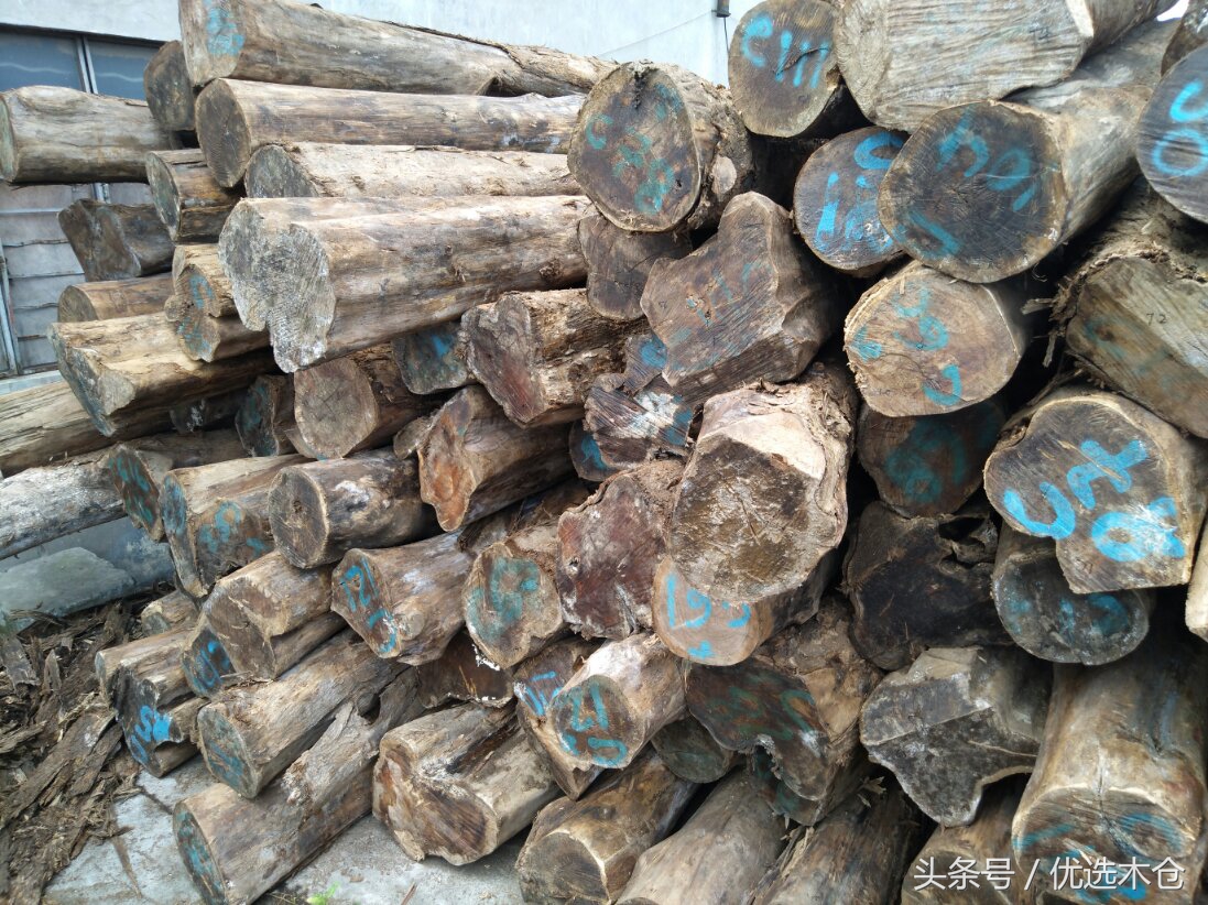 美洲胡桃木和红木家具,木材南美柚木