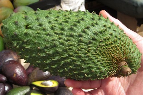 这种水果火了卖到全球一颗超10元,这种水果在国内卖200元一斤