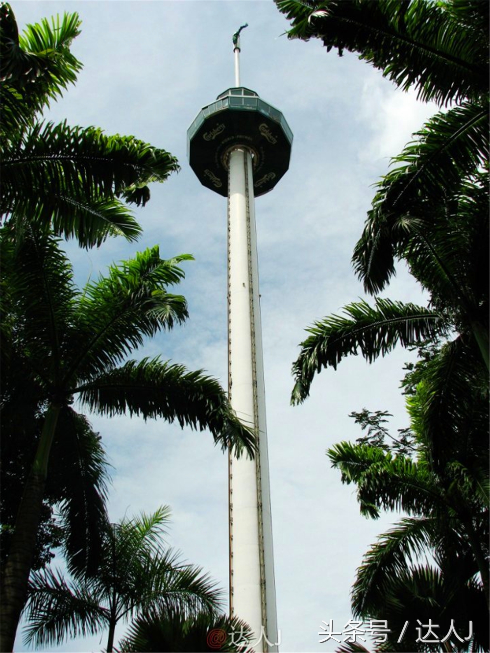 达人J：新马声色任逍遥