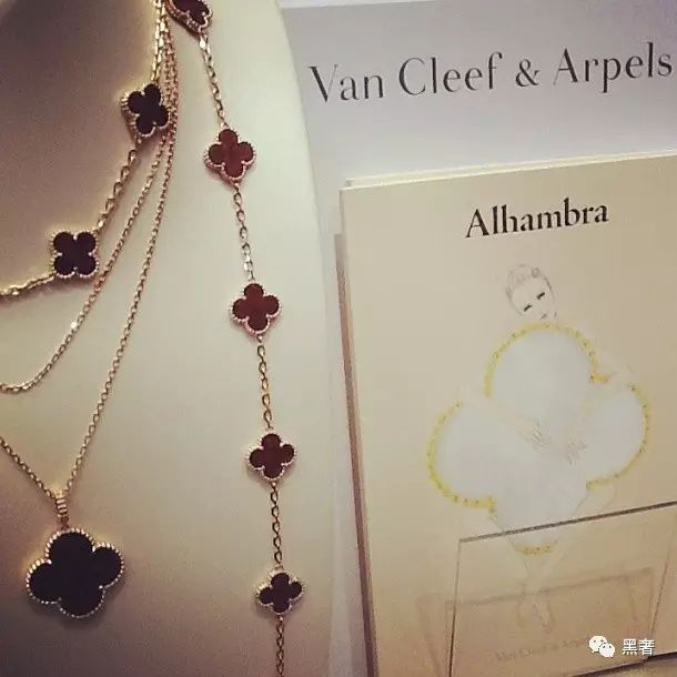 为什么这么多网红戴四叶草,被网红毁掉的植物