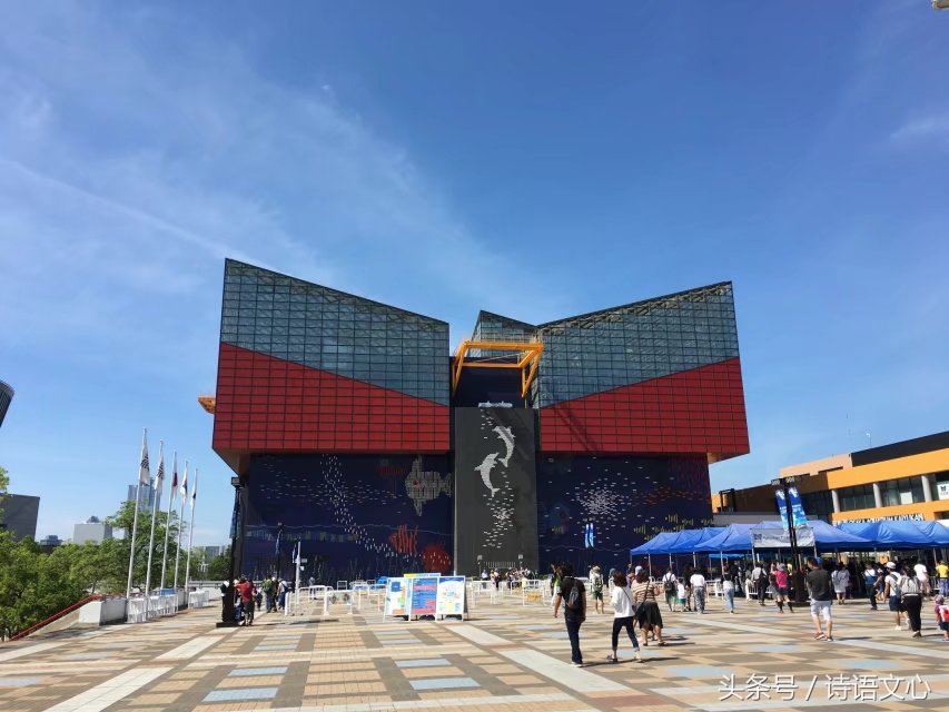 暑假带娃去部队看亲人,带娃去拉练