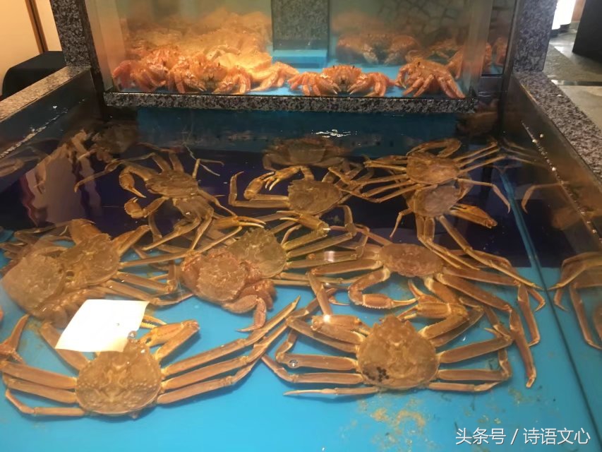 暑假带娃去部队看亲人,带娃去拉练