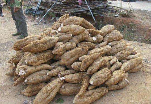 中年女性吃什么能保护卵巢,四种食物对卵巢保养有奇效