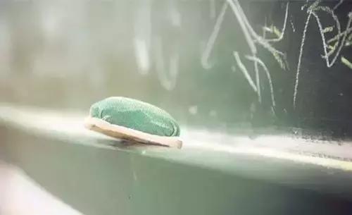 三尺讲台一生情怀演讲视频,三尺讲台一生情怀演讲稿