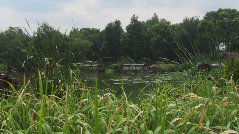 苏州西塘乌镇二日游团从杭州出发,苏州西塘乌镇二日一夜