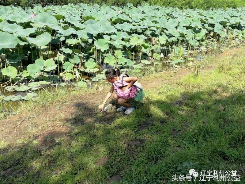 花young年华女子羽毛球俱乐部,花young年华音乐会怎么样