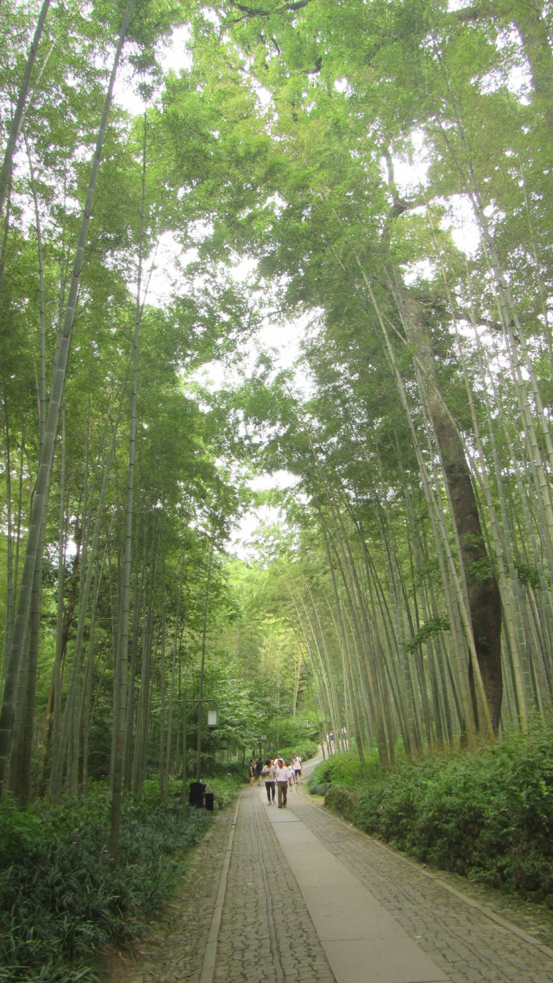 苏州西塘乌镇二日游团从杭州出发,苏州西塘乌镇二日一夜
