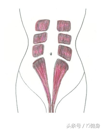 腹直肌分离检测及修复手法,腹直肌运动分析