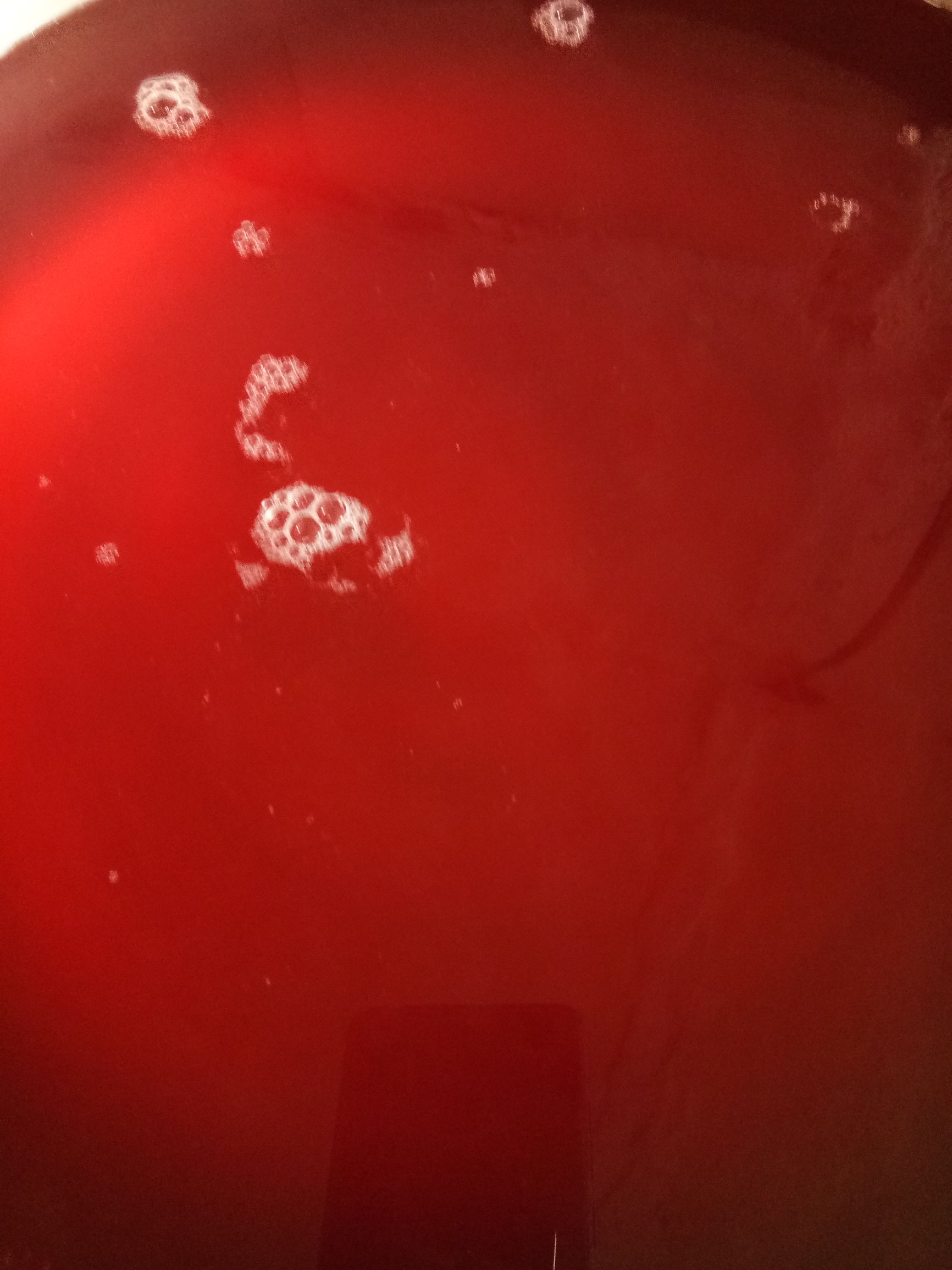 没有榨汁机怎么用瓶子榨果汁,没有榨汁机怎么可以做成汁