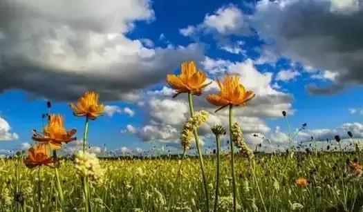 张家口之夜景色真的很美,从来没有见过的张家口美景