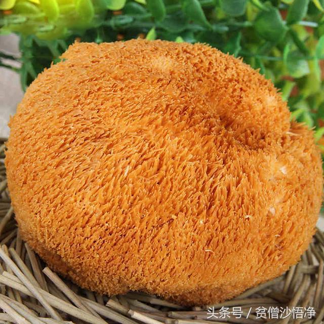 白发越来越多教你一招白发变黑发,白头发染黑天然方法