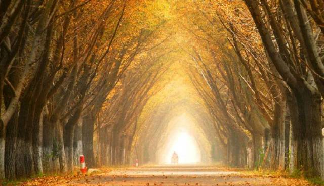 重庆近期有啥重大活动,重庆最近有什么重大活动