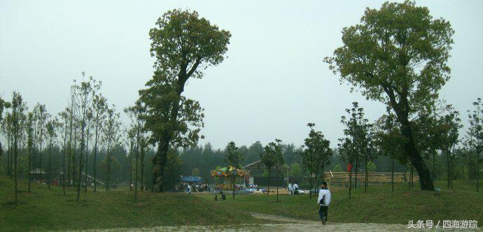 浙江玉环漩门湾国家湿地公园灯光,浙江玉环漩门湾湿地公园拍鸟