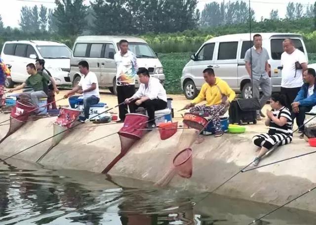 行营钓鱼节,行营钓具比赛视频