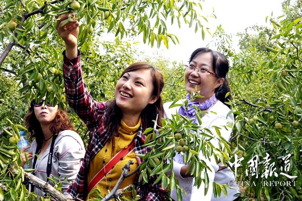 砥砺奋进争先创优取得新成效,2020年砥砺奋进工作取得了突破