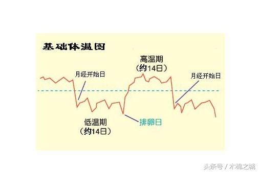 排卵在什么情况下会一直测出强阳,排卵是从哪里排出来的