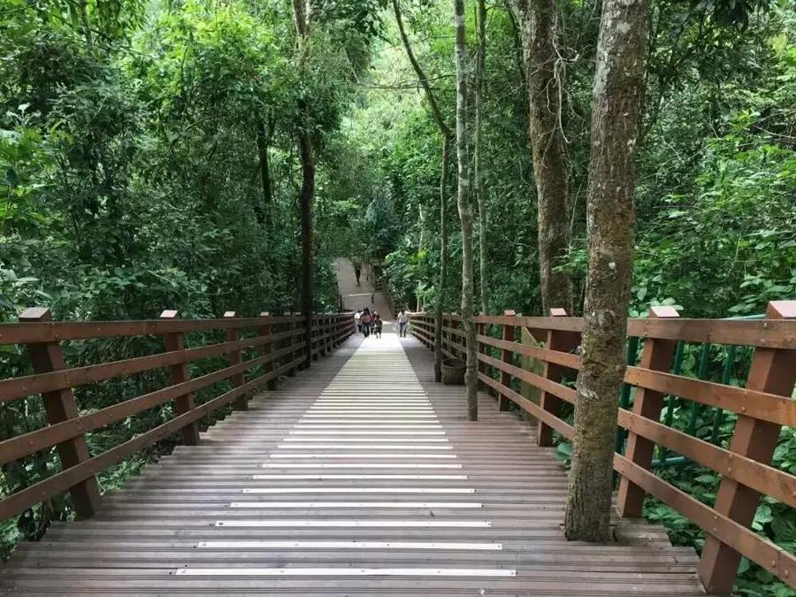 国庆节成都五日游攻略,元旦成都出发两天一夜旅游攻略