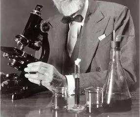 关于酵素减肥你需要知道的哪些事,酵素减肥的正确方法介绍