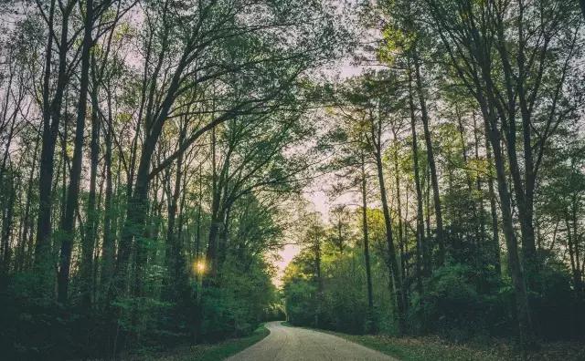 为什么失恋会失眠,失恋以后失眠怎么办