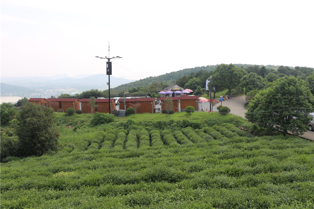 嘉兴南北湖农家乐推荐,嘉兴南北湖农家