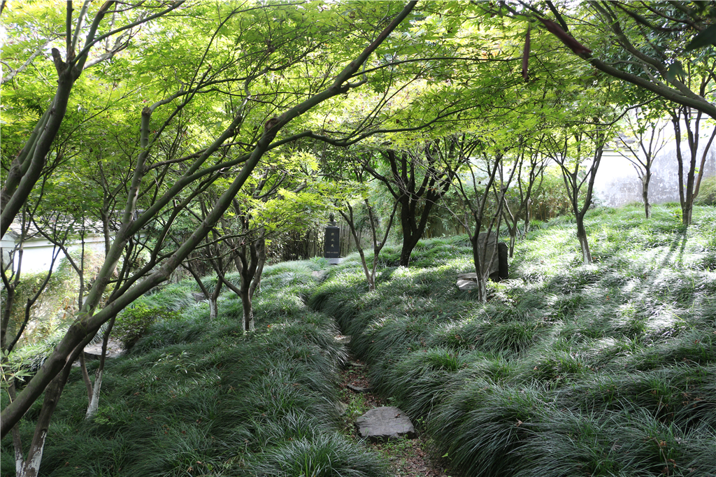 嘉兴南北湖农家乐推荐,嘉兴南北湖农家