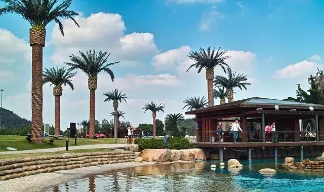 上海坐地铁直达的玩的地方,上海地铁直达花海