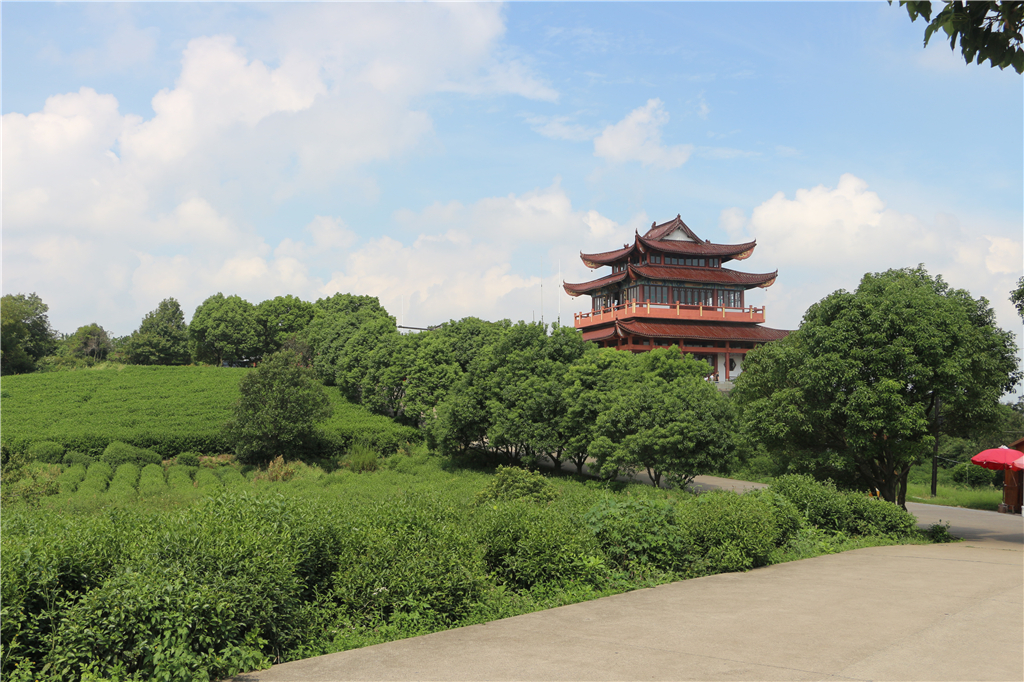 品山水美景房子,品农家菜